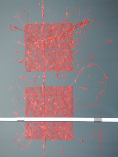 Oeuvre de Sophy Zory