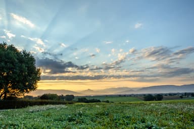Oeuvre de Jane del Pozo