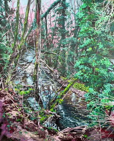 Oeuvre de Stéphane Juillard